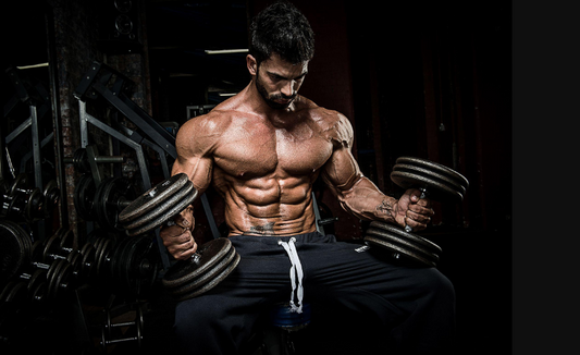 Understanding Lean Bulks, Dirty Bulks, and Cuts